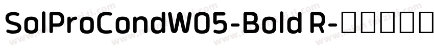 SolProCondW05-Bold R字体转换